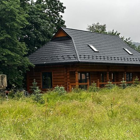 Chalet Pidstromom Mikulicsin Kültér fotó