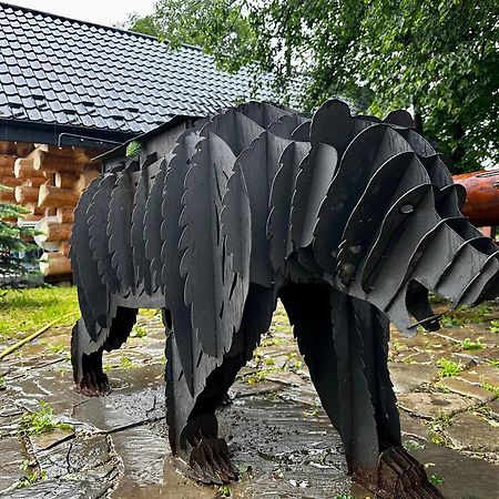 Chalet Pidstromom Mikulicsin Kültér fotó
