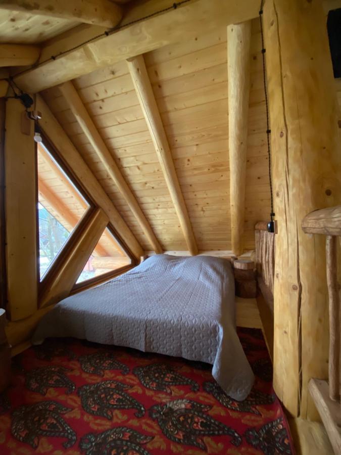 Chalet Pidstromom Mikulicsin Kültér fotó
