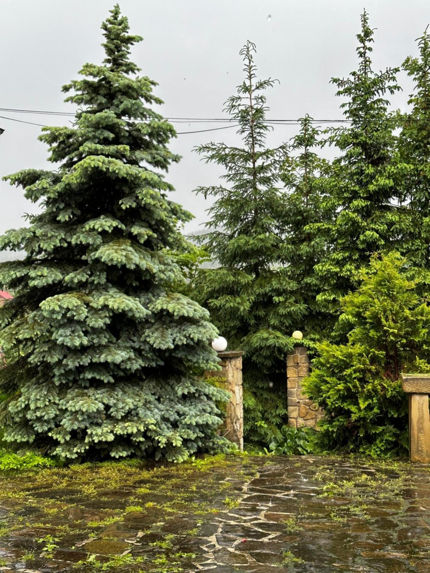 Chalet Pidstromom Mikulicsin Kültér fotó